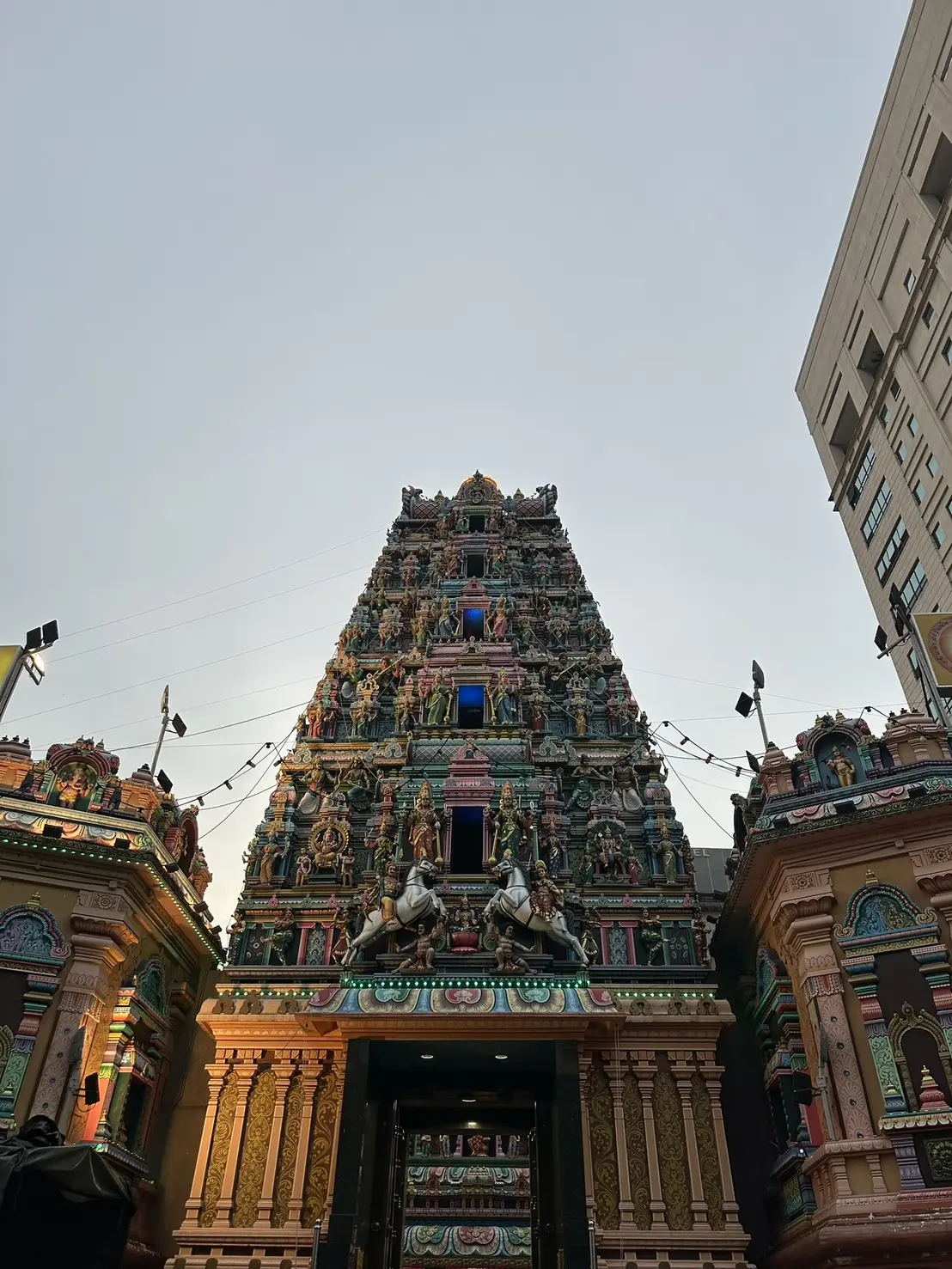 S 31399943 0